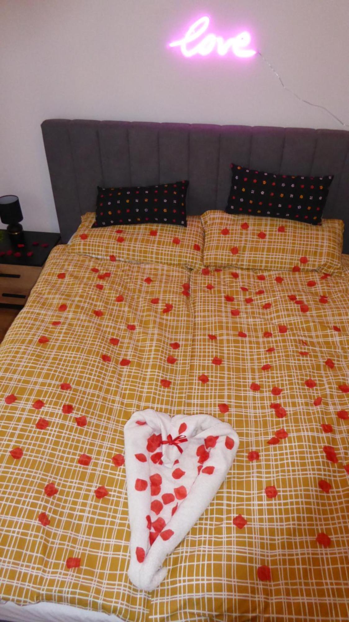 Apartament Love On 5 - Milosc Na 5 Legnica Luaran gambar